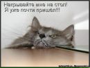 Віка Литвиненко фотография #17 (источник - https://vk.com/id137266373)