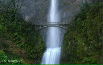 Фотография Medvetskaya Marina