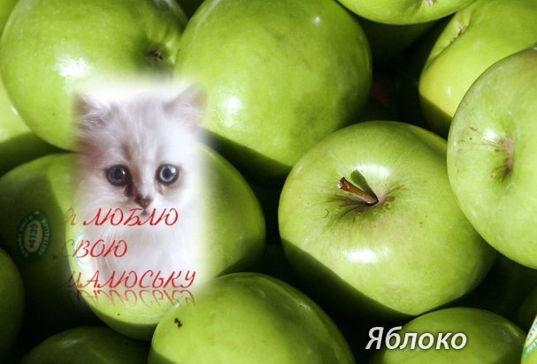 Юлия Ведерникова фотография #4