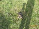 Тіна Яхтерєр фотография #13 (источник - https://vk.com/id170605264)