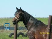 Сергей Осокин фотография #14 (источник - https://vk.com/id26323935)