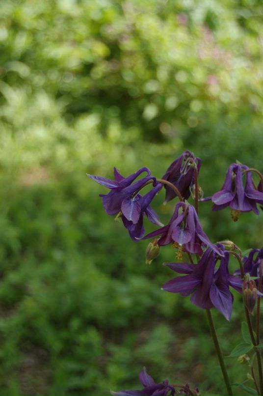 Михаил Воробьёв фотография #21