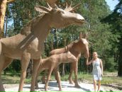 Фотография Останиной Татьяны