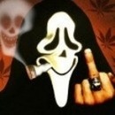 Фотография Загорского Никиты