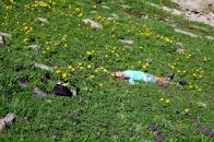 Фотография Агаевой Алиды