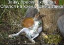 Богдан Сілецький фотография #12 (источник - https://vk.com/id147317374)