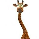 Фотография Минаевой Анны