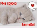 Катерина Півторак фотография #6 (источник - https://vk.com/id401096385)