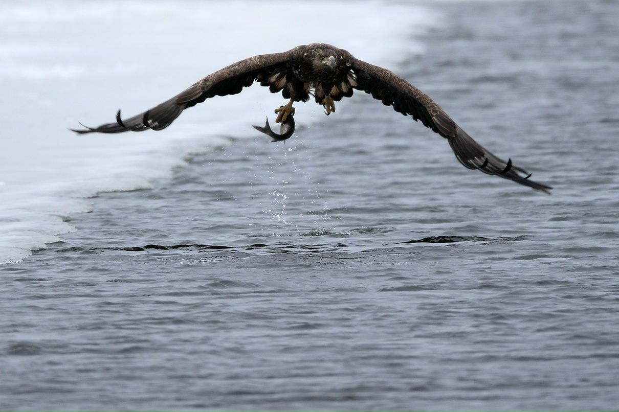 Дмитрий Барышников фотография #11