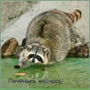 Фотография Некрасов Сергей