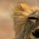 أنفسهم أحب фотография #9 (источник - https://vk.com/id145913596)