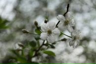 Фотография Мартьянова Андрея