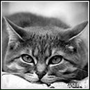 Фотография Фокс Юлии