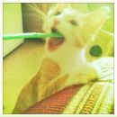 Анна Алтабаева фотография #12 (источник - https://vk.com/id3440357)