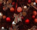 Марія Гостюк фотография #23 (источник - https://vk.com/id162100213)
