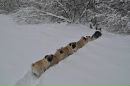 Фотография Маминой Альфии