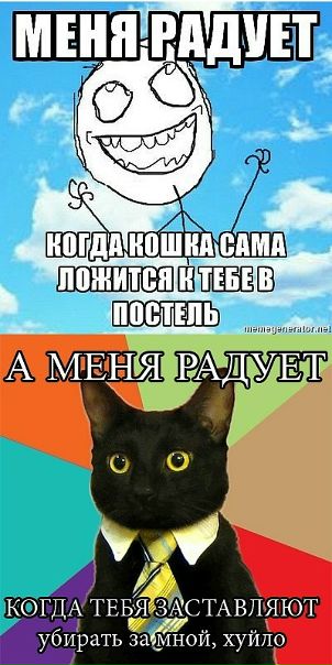 Дмитрий Потапов фото №10