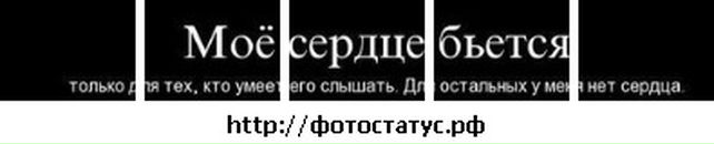 Мирослав Дідик фотография #38 (источник - https://vk.com/id35805528)