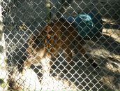 Назар Двуліт фотография #34 (источник - https://vk.com/id9731008)