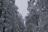 Володя Піпаш фотография #34 (источник - https://vk.com/id64047541)