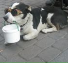 Фотография Толстобровой Ольги