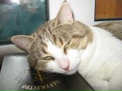 Фотография Даниловой Дины