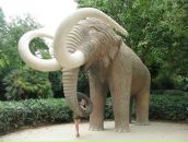 Фотография Карповой Елены