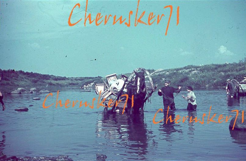 Дмитрий Фил фотография #5