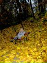 Іванка Думич фотография #46 (источник - https://vk.com/id151426957)