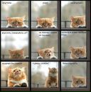 Фотография Власовой Маргариты