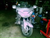 Томаш-іштван Кіш фотография #30 (источник - https://vk.com/id73210432)