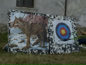 Ірина Долинська фотография #48 (источник - https://vk.com/id13001827)