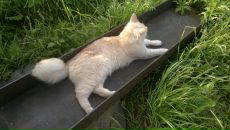 Фотография Короткова Евгения