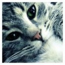 Фотография Сорока Владимир