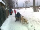Оксана Плотникова фотография #23 (источник - https://vk.com/id159726679)