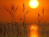 Фотография Бойко Марии