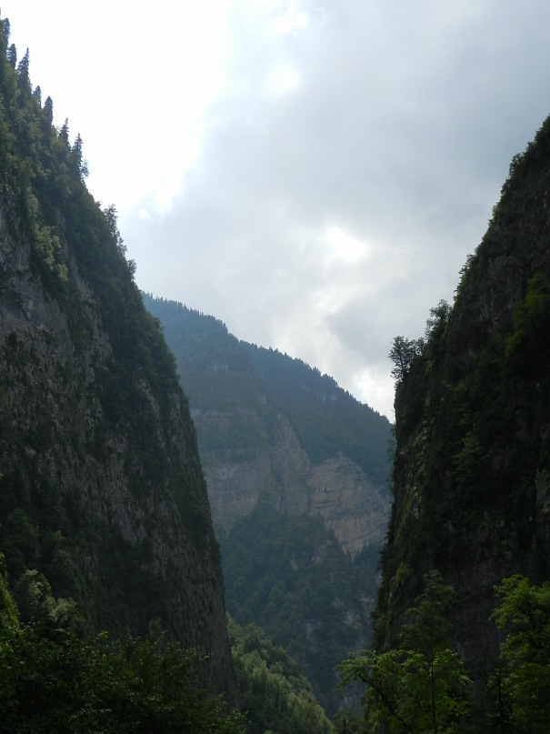 Дмитрий Толстых фотография #49