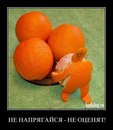 Фотография Аношиной Ольги
