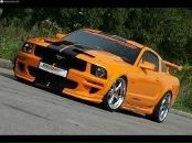 Діма Машенцов фотография #35 (источник - https://vk.com/id53597857)