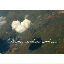 Оля Цісар фотография #26 (источник - https://vk.com/id69186844)