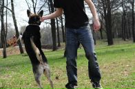 Фотография Асикаева Андрея