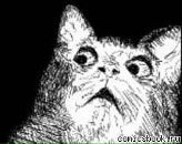 Сергій Льодін фотография #1