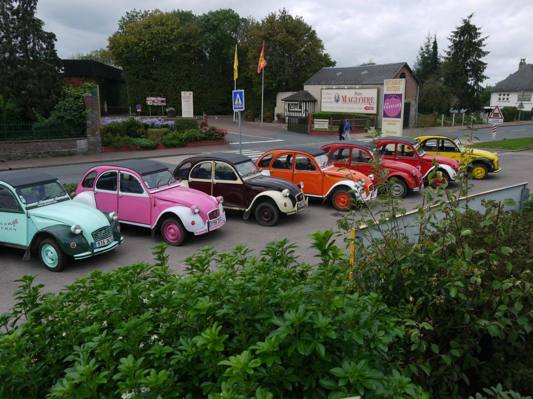 Дмитрий Гармидер фотография #17