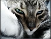 Марійка Красножона фотография #15 (источник - https://vk.com/id134199402)