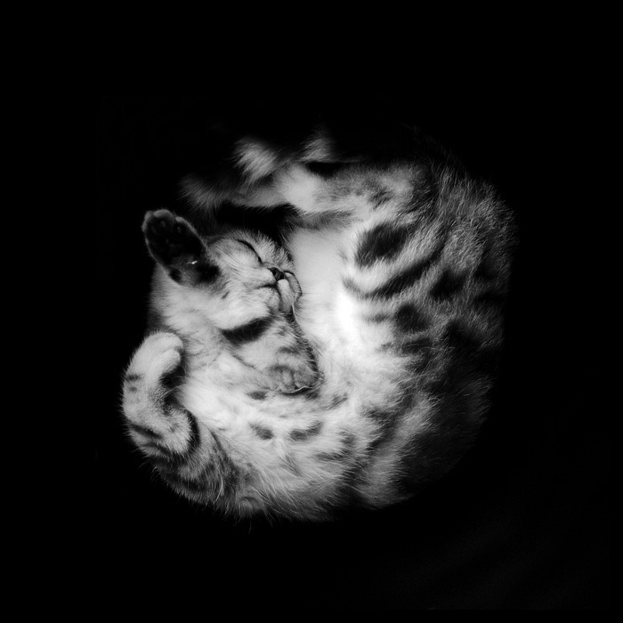 Данил Ушаков фотография #1