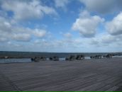 Елена Ли фотография #11 (источник - https://vk.com/id355235)