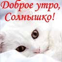 Світлана Цимбота фотография #12 (источник - https://vk.com/id143973657)