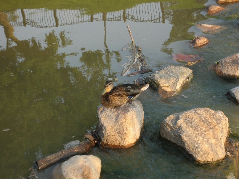 Иван Любимов фотография #50