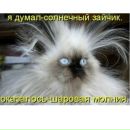 Софія Пархомець фотография #4 (источник - https://vk.com/id154253763)