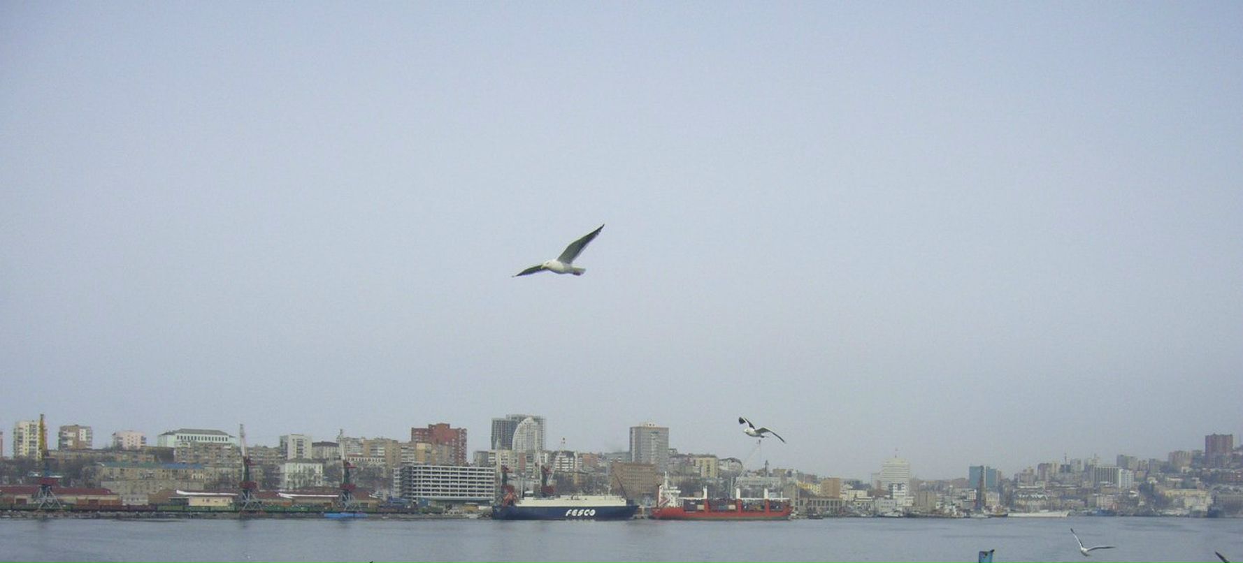 Елена Бондарь фотография #39